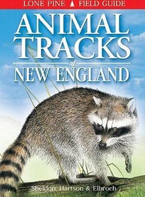 Animal Tracks of New England - Sheldon, Ian, and Hartson, Tamara, and Elbroch, Mark