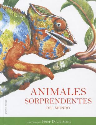Animales Sorprendentes del Mundo - Williams, Rachel, and Scott, Peter David