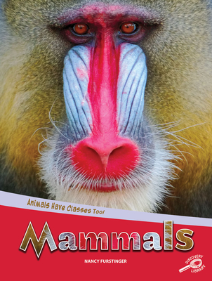 Animals Have Classes Too! Mammals - Furstinger