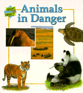 Animals in Danger-What about