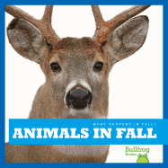 Animals in Fall