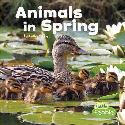 Animals in Spring - Clay, Kathryn