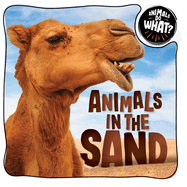 Animals in the Sand