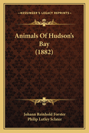 Animals Of Hudson's Bay (1882)