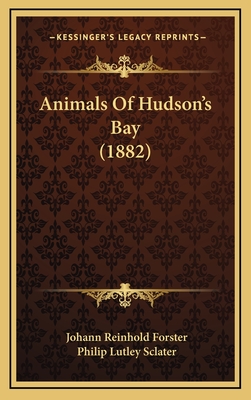 Animals of Hudson's Bay (1882) - Forster, Johann Reinhold, and Sclater, Philip Lutley (Editor)