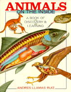Animals on the Inside: A Book of Discovery and Learning