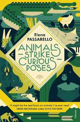 Animals Strike Curious Poses - Passarello, Elena