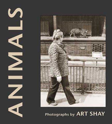 Animals - Shay, Art