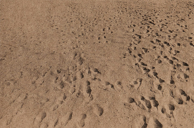 Anthony Hernandez: Beach Pictures, 1969-70 - Hernandez, Anthony (Photographer)