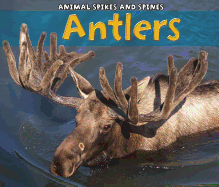 Antlers