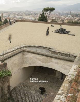 Antony Gormley: Human - Risaliti, Sergio (Editor), and Natalini, Arabella (Editor)