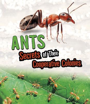Ants: Secrets of Their Cooperative Colonies - Kenney, Karen Latchana