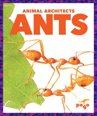 Ants - Latchana Kenney, Karen