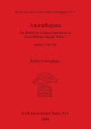 Anuradhapura: The British-Sri Lankan Excavations at Anuradhapura Salgaha Watta 2. Volume II: The Artefacts