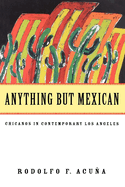 Anything But Mexican