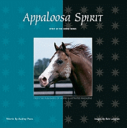 Appaloosa Spirit