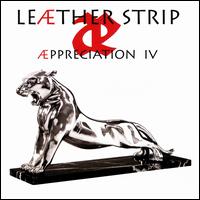 Appreciation IV - Leather Strip