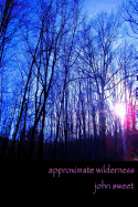 Approximate Wilderness