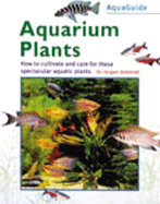 Aquarium Plants