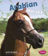 Arabian Horses