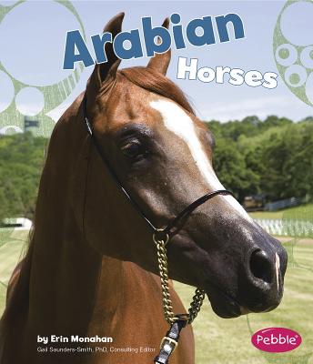 Arabian Horses - Monahan, Erin