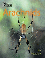 Arachnids