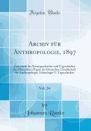 Archiv F?r Anthropologie, 1897, Vol. 24: Zeitschrift F?r Naturgeschichte Und Urgeschichte Des Menschen; Organ Der Deutschen Gesellschaft F?r Anthropologie, Ethnologie U. Urgeschichte (Classic Reprint)