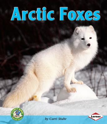 Arctic Foxes - Stuhr, Carri