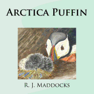 Arctica Puffin