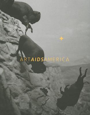 Art AIDS America - Katz, Jonathan David, and Hushka, Rock