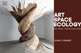 Art, Space, Ecology: Two Views-Twenty Interviews
