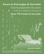 Asesor en Estrategias de Inversi?n: Tomo VII: Fondos de Inversi?n