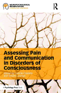 Assessing Pain and Communication in Disorders of Consciousness