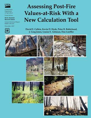 Assessing Post-Fire Values-At-Risk With a New Calculation Tool - Hyde, Kevin D, and Robichaud, Peter R, and Jones, Greg J