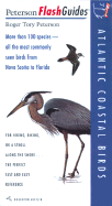 Atlantic Coastal Birds