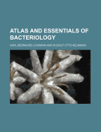Atlas and Essentials of Bacteriology