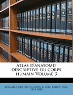 Atlas d'anatomie descriptive du corps humain Volume 3
