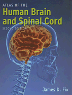 Atlas of the Human Brain and Spinal Cord - Fix, James D, PhD