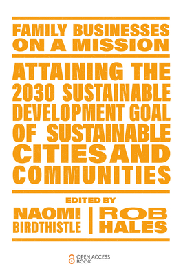 Attaining the 2030 Sustainable Development Goal of Sustainable Cities and Communities - Birdthistle, Naomi (Editor), and Hales, Rob (Editor)