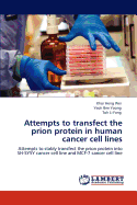 Attempts to Transfect the Prion Protein in Human Cancer Cell Lines