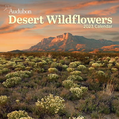 Audubon Desert Wildflowers Wall Calendar 2023 - Workman Publishing