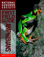 Audubon Guide: Amphibians (Pb): Amphibians