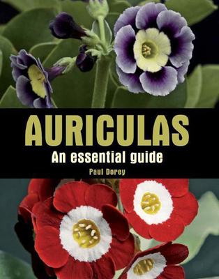 Auriculas: An Essential Guide - Dorey, Paul