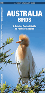Australia Birds: a Folding Pocket Guide to Familiar Species (Pocket Naturalist Guides)