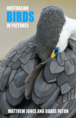 Australian Birds in Pictures - Jones, Matthew, and Paton, Duade