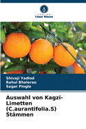 Auswahl von Kagzi-Limetten (C.aurantifolia.S) Stmmen