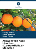 Auswahl von Kagzi-Limetten (C.aurantifolia.S) St?mmen