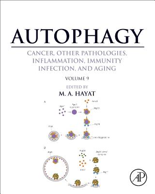 Autophagy: Cancer, Other Pathologies, Inflammation, Immunity, Infection, and Aging: Volume 9: Human Diseases and Autophagosome - Hayat, M A (Editor)