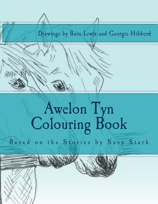 Awelon Tyn Colouring Book - Stark, Susy