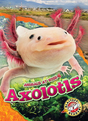 Axolotls - Grack, Rachel